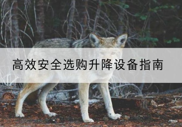 芗城升降货梯厂家推荐-*安全选购升降设备指南