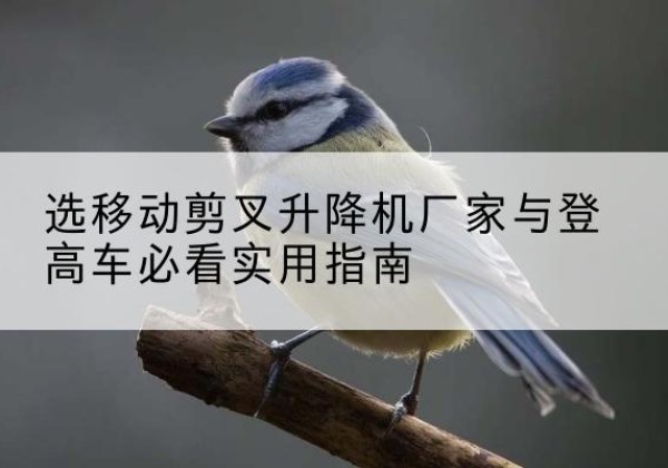 芗城电动升降机厂家-选移动剪叉升降机厂家与登高车必看实用指南