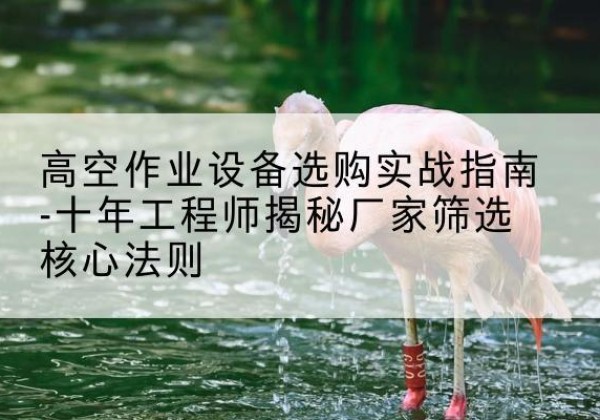芗城剪叉式升降机厂家-高空作业设备选购实战指南-十年工程师揭秘厂家筛选核心法则